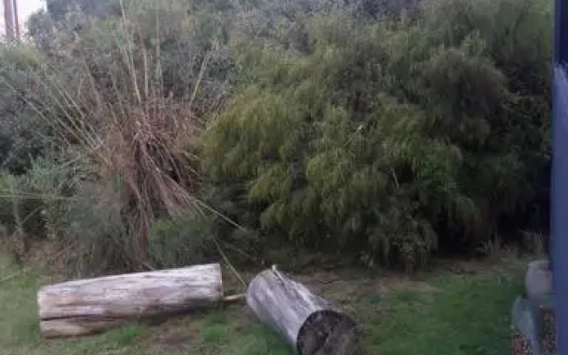Punta Negra Disfrutable Todo El Año!