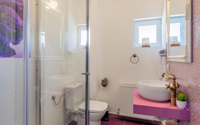 Pensiunea Casuta cu Trandafiri 2