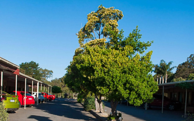 Angaston Vineyards Motel