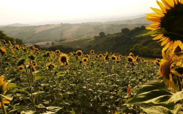 B&B La Collina Dorata