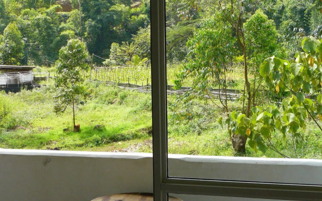 White House Adam's Peak