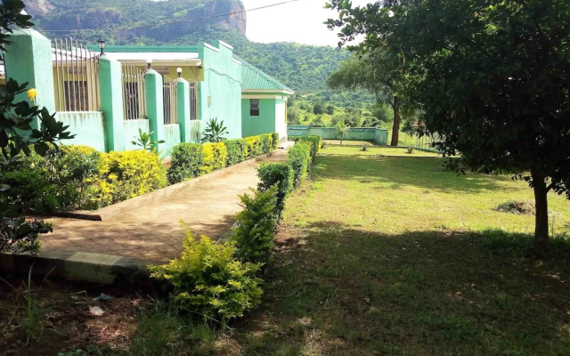 Green Oasis Guest House and Tours