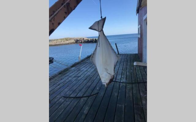 Modern Rorbu Ryten 2