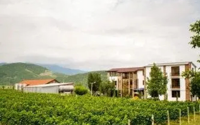 Shaloshvili's Cellar Hotel