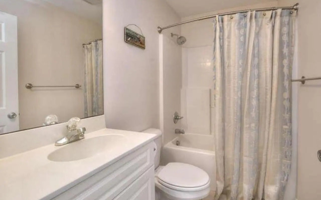 Stranded Indolphinitely