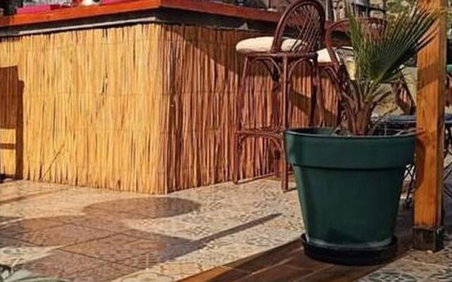 Mi̇ Amor Seli̇mi̇ye