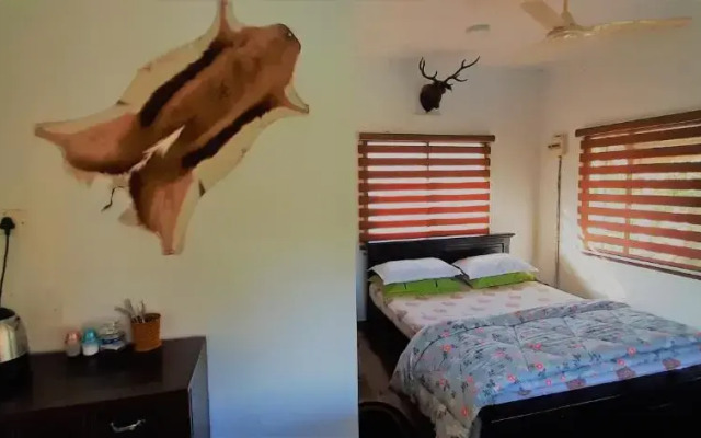 Noah's Nest Tree House