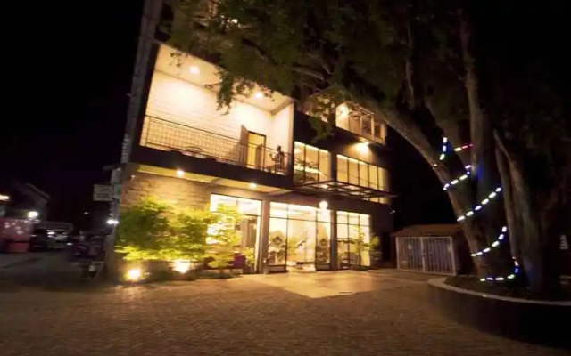 D'amor Exclusive Timoho