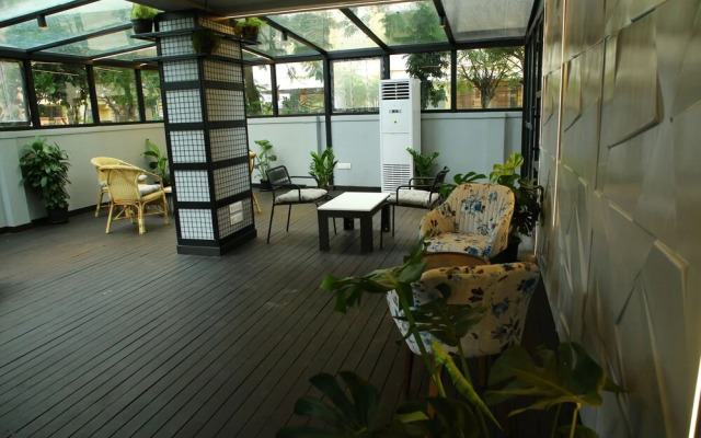 White Fern Stays