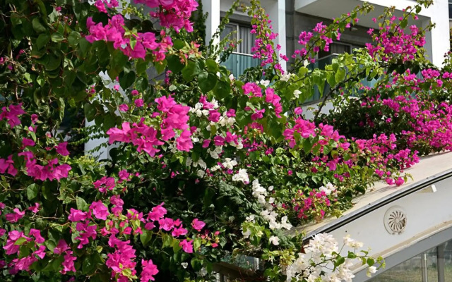 Royal Palm Residence