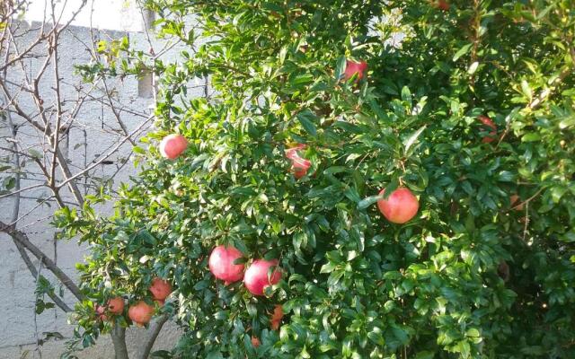 Li Curti B&B