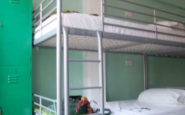 A Beary Good Hostel