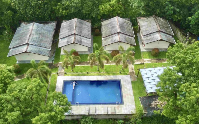 Jungle Paradise