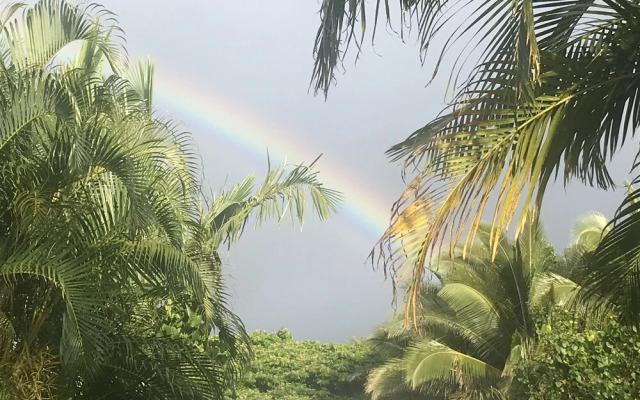 Sweet Spot Stay - Tikis and Treetops