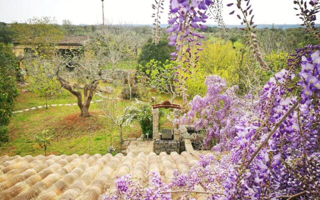 B&B Borgo Del Gallo