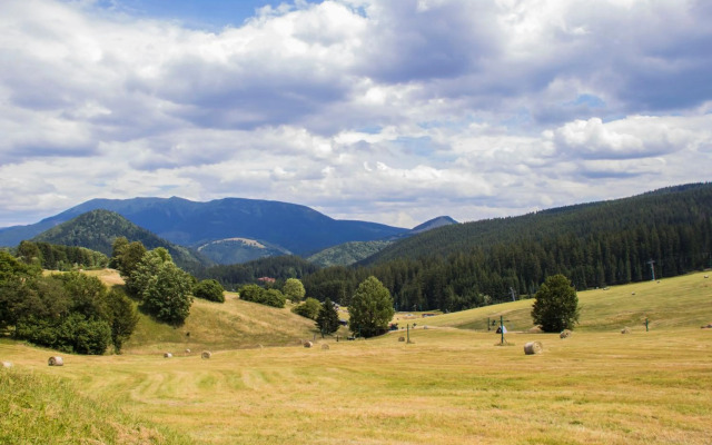 MJ Apartments Panorama