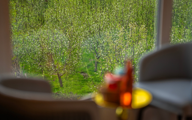 Moustache Hostel Pahalgam