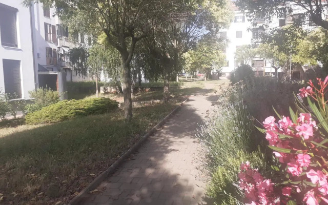 APP Kolar