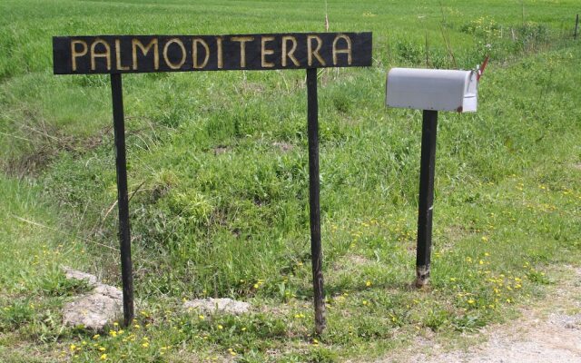 The House With Terrace