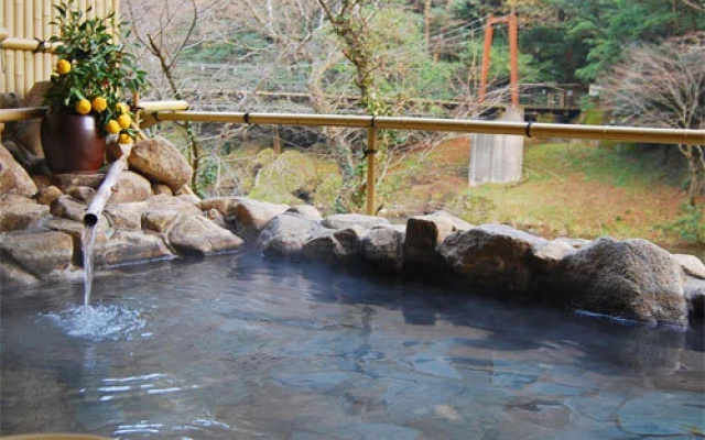 Tachikuekyo Onsen Hakkouen
