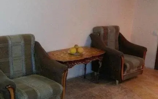 Vinogradnaya Loza Guest House