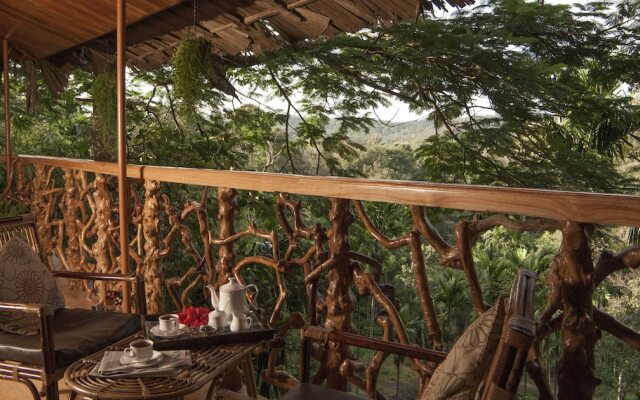 Tranquil Resort Wayanad