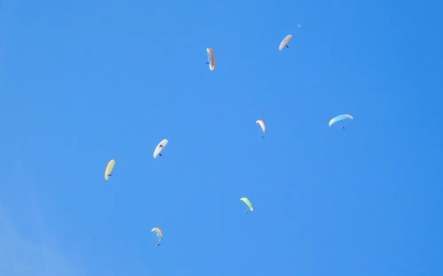 Villa Rosa Apartment