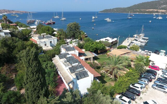 Velena Bodrum