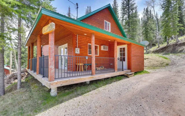 Hike, Unwind & Bring Your Pet: Deadwood Cabin!