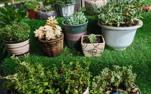 Jiuzhaigou Beautiful Time Hotel