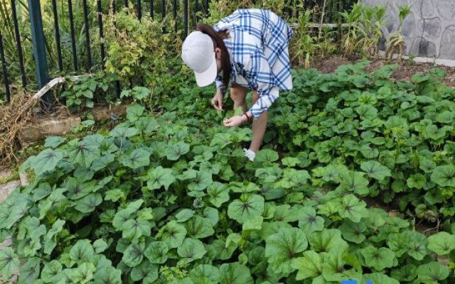 Cloud Villa · Yun Duan Jing Yuan Mountain View Homestay ( Zhangjiajie National Forest Park Branch) – People – Zhangjiajie