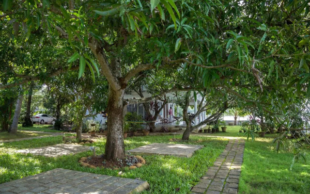 orchid lake view homestay
