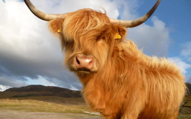 Silver Key Apartments III