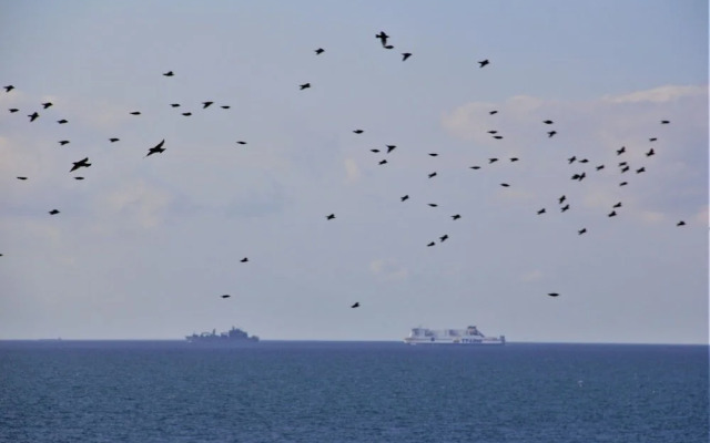 Haus am Meer