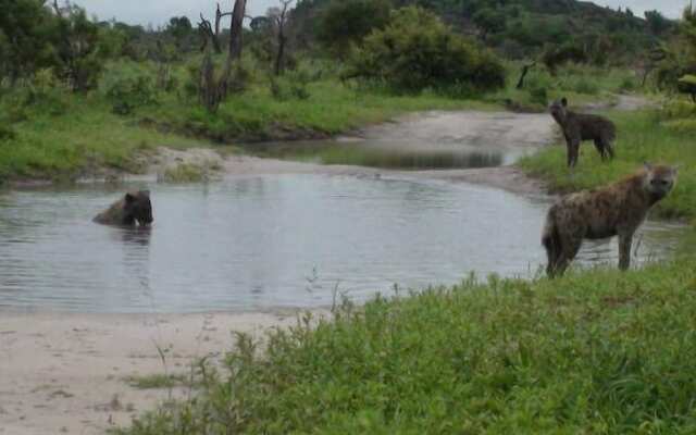 Matsaodi Campsite