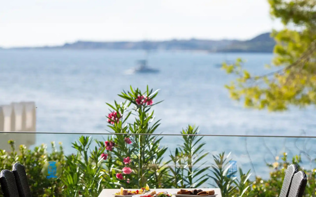 Mediterranee