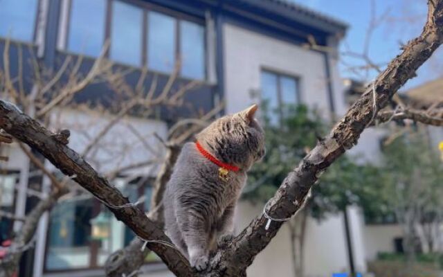 Loulan Courtyard Hotel (Suzhou Pingjiang Road Humble Administrator's Garden)
