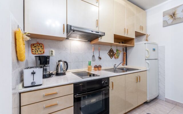 Apartment Ivana