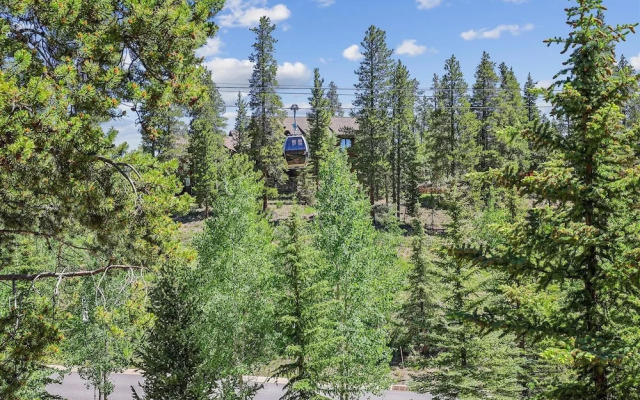 Cucumber Patch 60 4 Bedroom Home by RedAwning