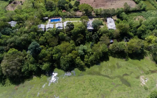 Jungle Paradise Hotel
