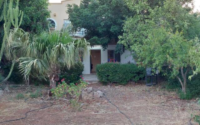 Christin P House with a large yard and parking