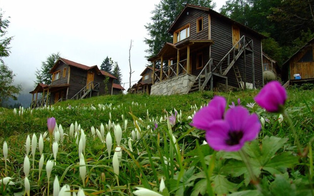 Hamsiköy Zitaş Bungalov & Restoran