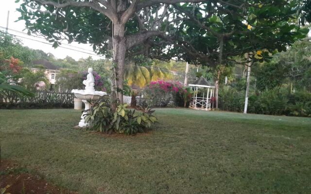 Comfort Kingdom Villa Bed & Breakfast