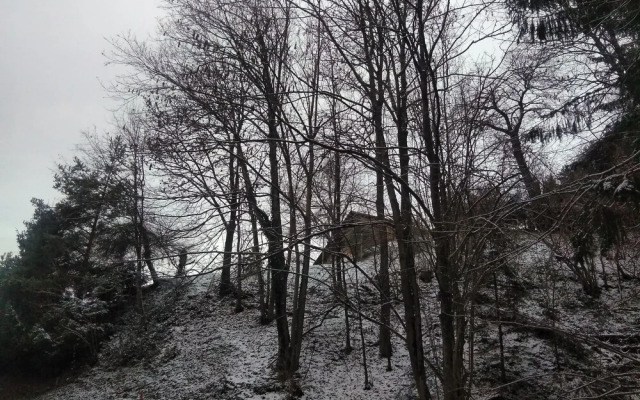 Apartment Jorsi With Mountain View