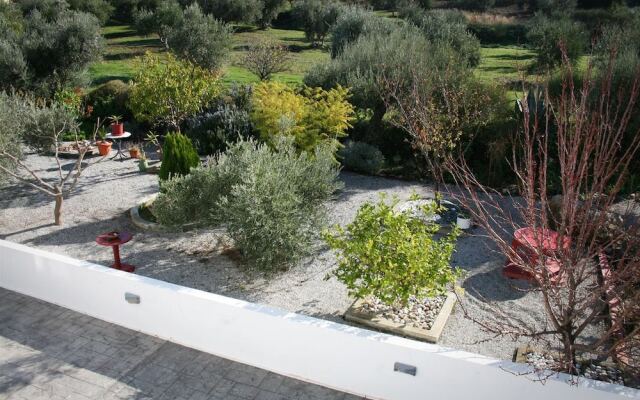The Olive Branch Villa