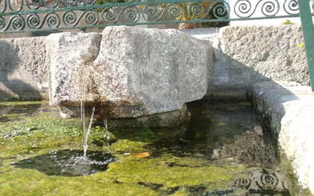 Quinta da Casa Grande Pinheiro