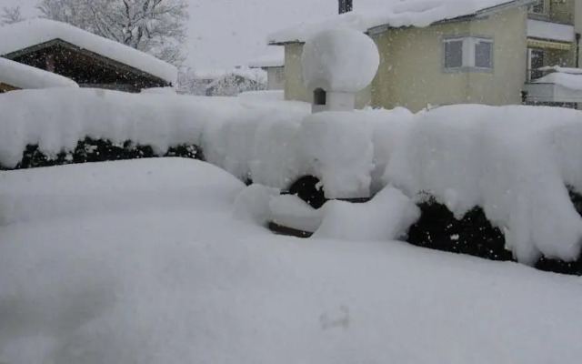 Ferienwohnung Sonnenwiese