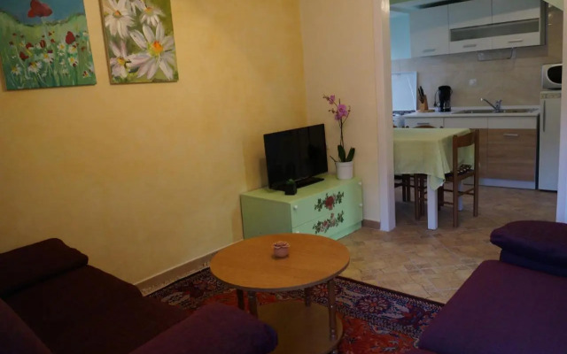Apartment Istriana