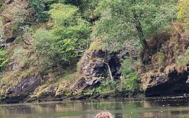 El Bosque de las Viñas