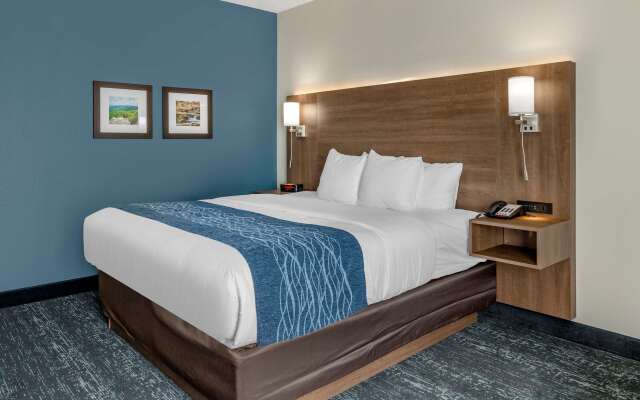 Comfort Inn & Suites Troutville - Roanoke North /